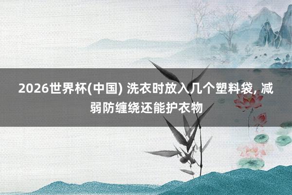 2026世界杯(中國(guó)) 洗衣時(shí)放入幾個(gè)塑料袋， 減弱防纏繞還能護(hù)衣物