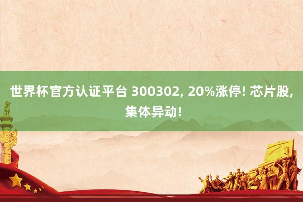 世界杯官方認證平臺 300302， 20%漲停! 芯片股， 集體異動!