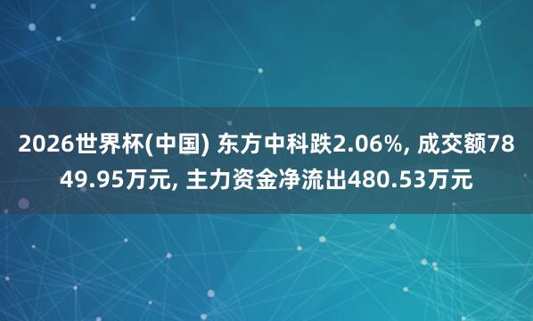 2026世界杯(中國) 東方中科跌2.06%， 成交額7849.95萬元， 主力資金凈流出480.53萬元