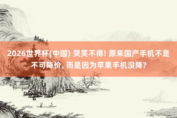 2026世界杯(中國) 哭笑不得! 原來國產手機不是不可降價， 而是因為蘋果手機沒降?