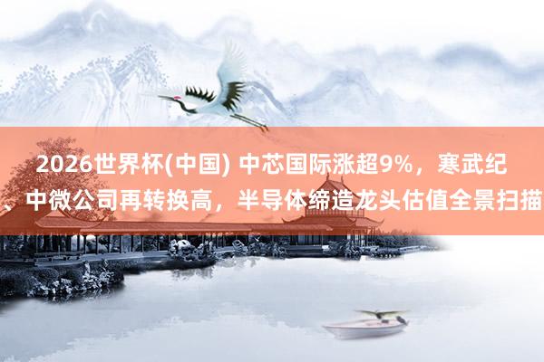 2026世界杯(中國) 中芯國際漲超9%，寒武紀、中微公司再轉換高，半導體締造龍頭估值全景掃描