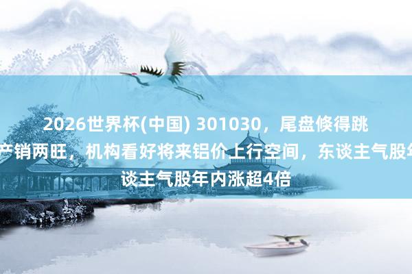 2026世界杯(中國(guó)) 301030，尾盤倏得跳水！鋁加工產(chǎn)銷兩旺，機(jī)構(gòu)看好將來(lái)鋁價(jià)上行空間，東談主氣股年內(nèi)漲超4倍