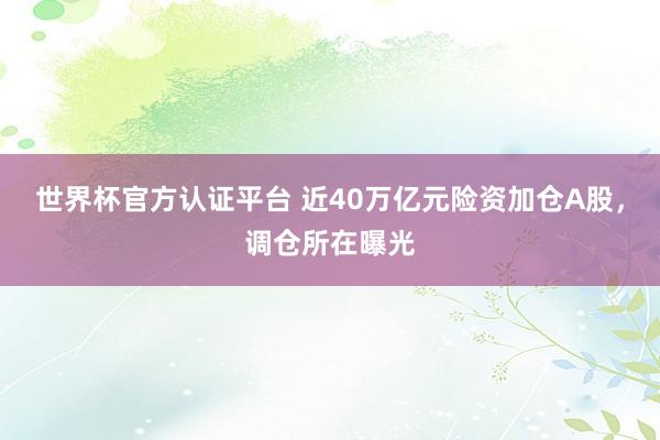 世界杯官方認(rèn)證平臺(tái) 近40萬(wàn)億元險(xiǎn)資加倉(cāng)A股，調(diào)倉(cāng)所在曝光