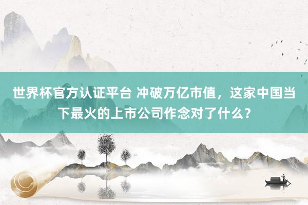 世界杯官方認證平臺 沖破萬億市值，這家中國當下最火的上市公司作念對了什么？