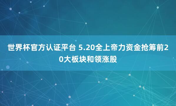 世界杯官方認證平臺 5.20全上帝力資金搶籌前20大板塊和領漲股