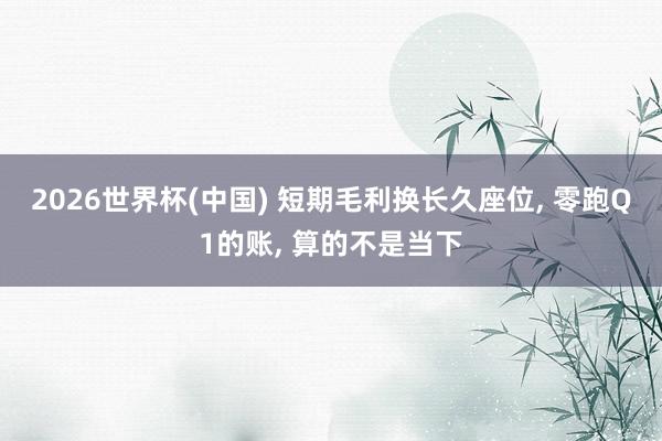 2026世界杯(中國) 短期毛利換長久座位， 零跑Q1的賬， 算的不是當下