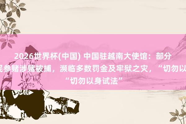 2026世界杯(中國) 中國駐越南大使館：部分在越公民參賭涉賭被捕，瀕臨多數罰金及牢獄之災，“切勿以身試法”