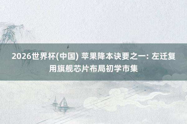 2026世界杯(中國(guó)) 蘋果降本訣要之一: 左遷復(fù)用旗艦芯片布局初學(xué)市集