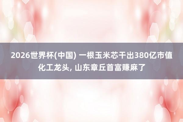 2026世界杯(中國) 一根玉米芯干出380億市值化工龍頭， 山東章丘首富賺麻了