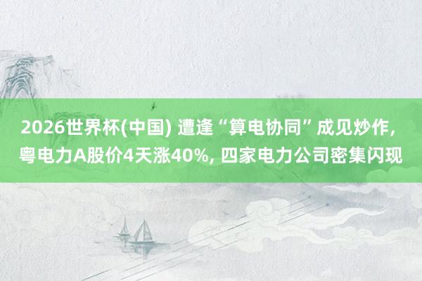 2026世界杯(中國(guó)) 遭逢“算電協(xié)同”成見(jiàn)炒作， 粵電力A股價(jià)4天漲40%， 四家電力公司密集閃現(xiàn)
