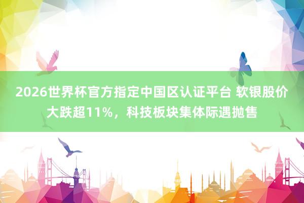 2026世界杯官方指定中國(guó)區(qū)認(rèn)證平臺(tái) 軟銀股價(jià)大跌超11%，科技板塊集體際遇拋售
