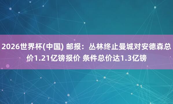 2026世界杯(中國) 郵報(bào)：叢林終止曼城對安德森總價(jià)1.21億鎊報(bào)價(jià) 條件總價(jià)達(dá)1.3億鎊
